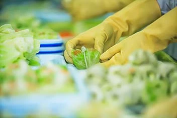 Des chariots adaptés au secteur de la transformation agroalimentaire
